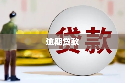 驻马店逾期贷款