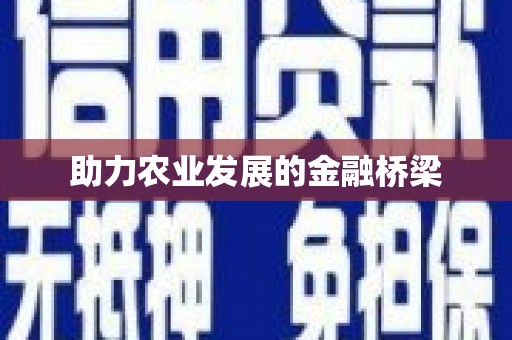 驻马店助力农业发展的金融桥梁