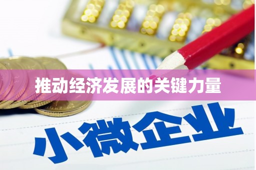 驻马店推动经济发展的关键力量