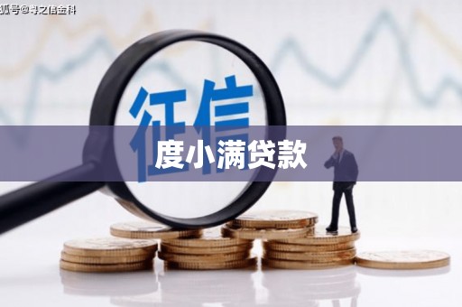 驻马店度小满贷款